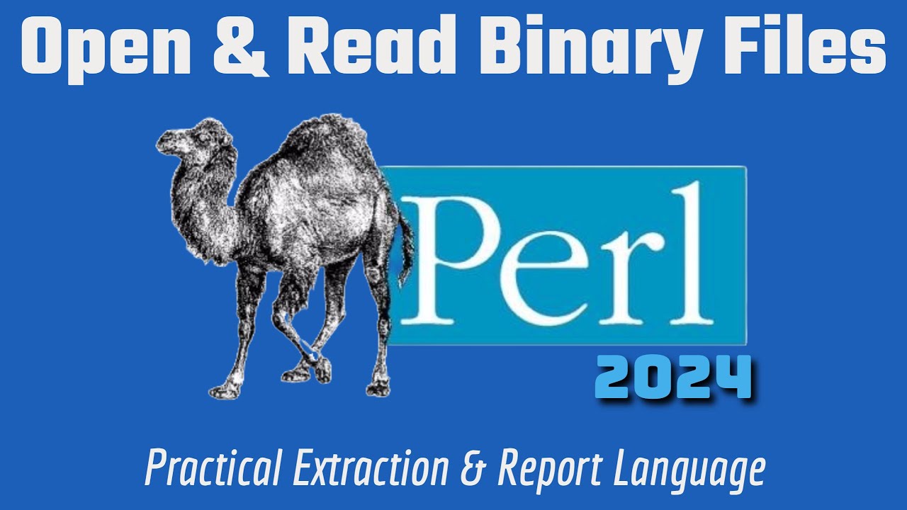 Learn Perl Programming In 2024: Open & Read Binary Files