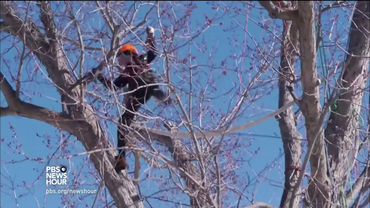 Will mega-corporations give way to a local manufacturing renaissance?