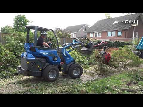 Monumentale eiken moedwillig vergiftigd in Goor