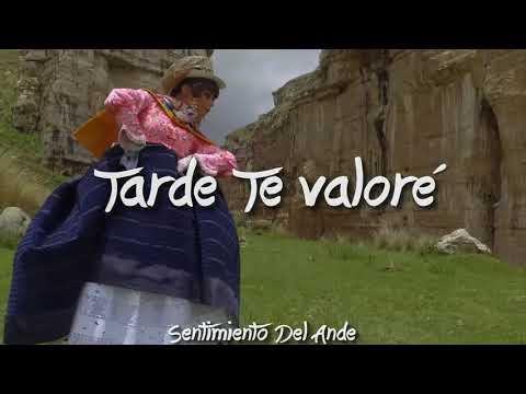 Tarde Te Valoré - | Sentimiento Del Ande | ( Letras / Español )