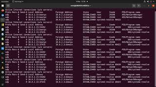 LINUX: View Current Network Connections & Associated Process Name