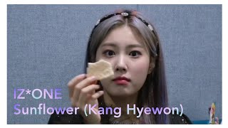 IZ*ONE (아이즈원) - Sunflower/Hey.Bae.Like.It (해바라기) feat.Metamo (Kang Hyewon Ver.)