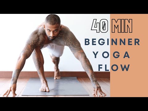 COMPLETE 40 MIN BEGINNER FULL BODY VINYASA YOGA FLOW | Aaron Wik