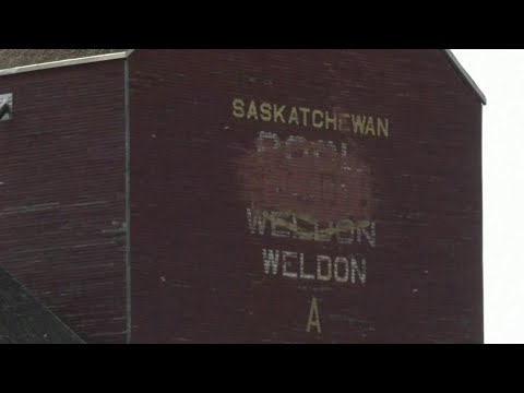 Local 4 News at 4 -- Sept. 5, 2022