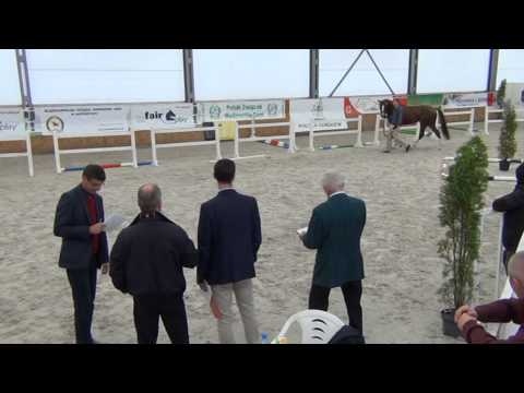 22 GOLD QUATERBACK KOMENTARZ