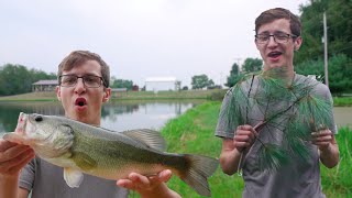 Can you catch Fish with Pine Needles?