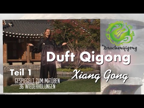 🐉 Duft Qigong Teil1 - komplette Sequenz zum Mitmachen - 36 Wiederholungen gespiegelte Version