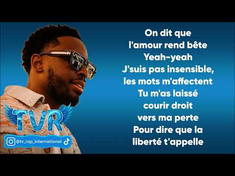 DADJU - Trompé sur toi (Paroles/Lyrics)