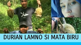 preview picture of video 'DURIAN LAMNO ACEH JAYA'
