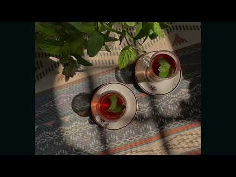 {FREE} Afro Latin x Spanish Guitar Type Beat "Moroccan Tea"