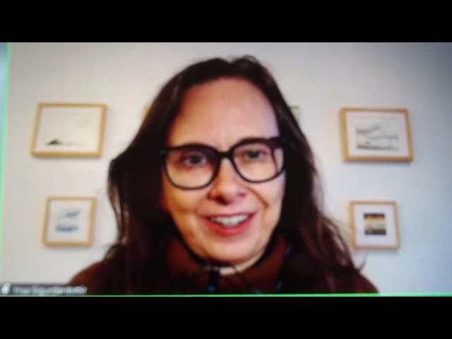 Vídeo relacionado con El grito: 1 (Áncora & Delfín)