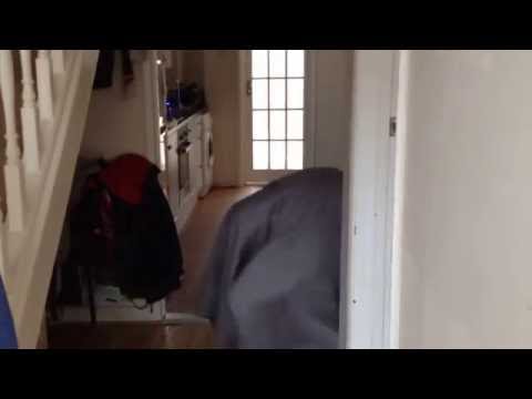 IN SAIN FOOTAGE OF A GHOST