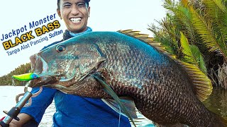 Download lagu REKOR MANCING IKAN BLACK BASS TERBESAR SI MANCING di Muara Sungai Mahakam Kalimantan Timur mp3