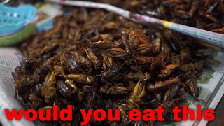 Would you Eat This food in Asia