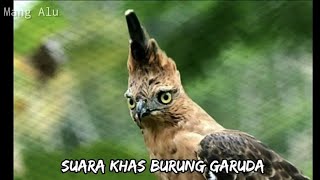 Download lagu SUARA KHAS BURUNG ELANG JAWA (GARUDA) UNTUK MASTERAN BURUNG OCEHAN mp3 Download lagu SUARA KHAS BURUNG ELANG JAWA (GARUDA) UNTUK MASTERAN BURUNG OCEHAN mp3