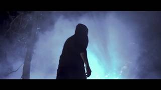 No Liars - &quot;Animal&quot; Official Music Video