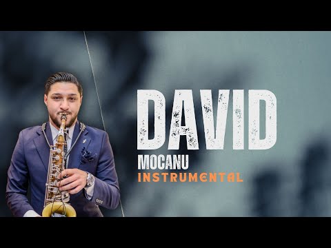 David Mocanu - INSTRUMENTAL 2024 ( AUDIO )