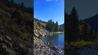 Download lagu காத்திருந்து காத்திருந்து | WhatsApp status melody song Shorts mp3 Download lagu காத்திருந்து காத்திருந்து | WhatsApp status melody song Shorts mp3