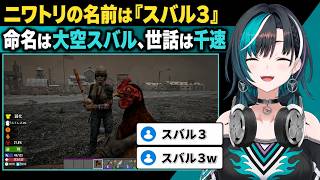 千速が託されたニワトリ「スバル3」、命名したのは大空スバル本人【輪堂千速／FLOW GLOW】【7 Days to Die】