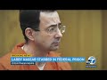 Disgraced sports doctor Larry Nassar stabbed in federal prison
