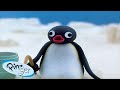 Best Episodes From Season 3 Pingu Official Channel Cartoons For Kids
