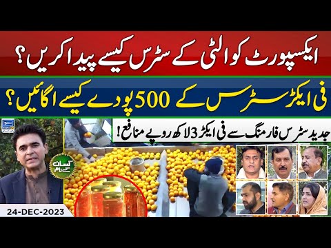 How to start citrus farming business | How to control citrus fruit fly | Kissan Kay Naam | EP 48
