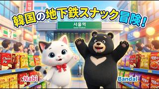 ソウル地下鉄マスター講座|初心者でも迷わない!