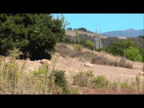 2012 Coyote Classic Am 1
