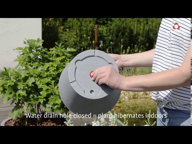 Video Teaser für Scheurich C-Cone (English version)