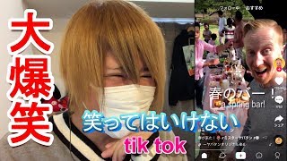 【ティックトック】絶対に笑ってはいけないTikTok【実写】