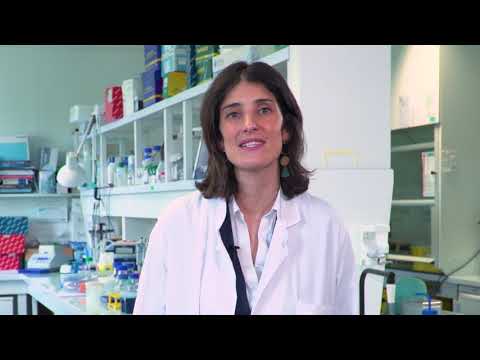 Etude CANTO : impact de l'hormonothérapie du cancer du sein sur la qualité de vie