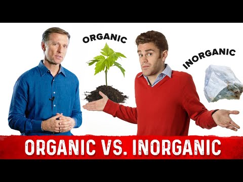 An APPLE a Day Will NOT Let Your Weight Go Away – Dr Berg