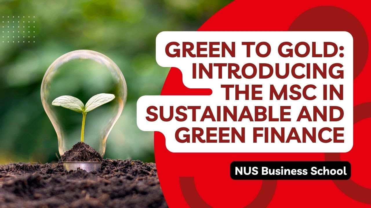 Green to Gold: Introducing the MSC in Sustainable and Green Finance at NUS Business School