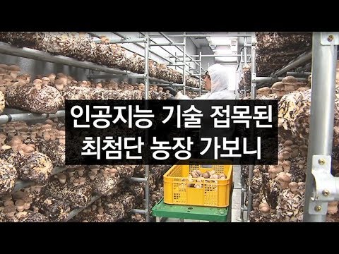 , title : '[라인뉴스] 농업과 만난 인공지능…"농사도 로봇이 짓는다"'
