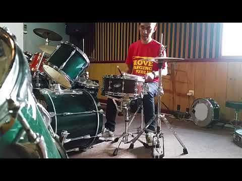 Ahead 14x6" african exotic wenge stave snare drum