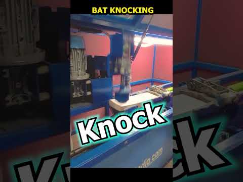 how to knock a bat #shorts #cricketshorts #bmccricket #experiment