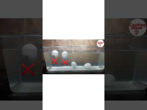 Egg test in water/#shorts