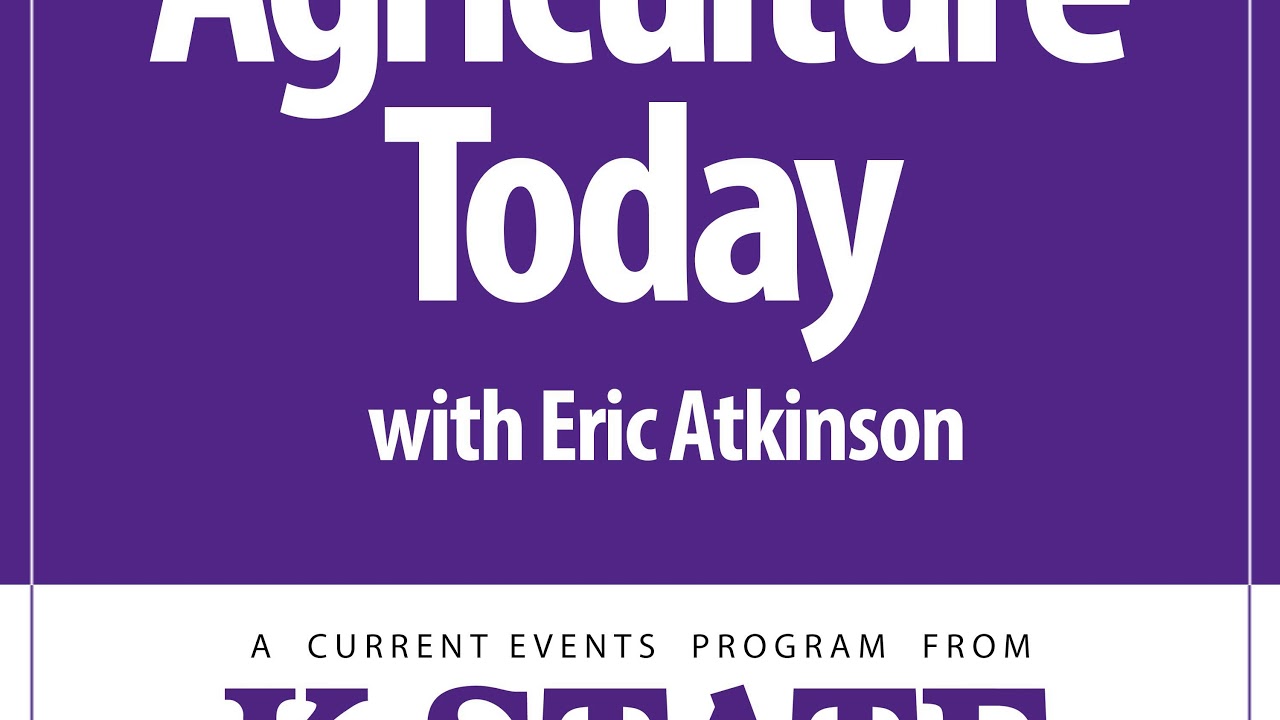 Corn Price Forecasting for 2019; Cash Flow Plans