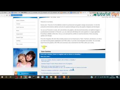 12 custom post type wordpress Tutorial Rays | By Umar Rahman