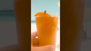 Trip to paradise 🌴