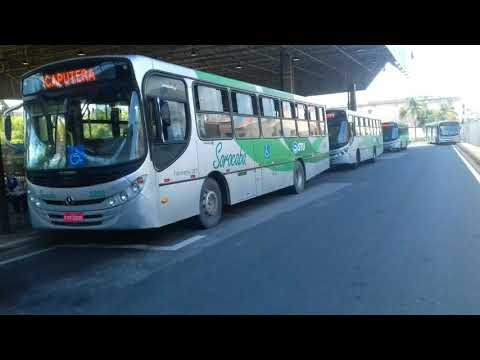 Trio de Caio apache vip II OF 1418 MB (2010)