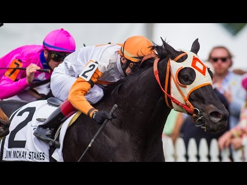 Ben’s Cat: Better Than Ever