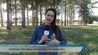 Miniatura do vídeo