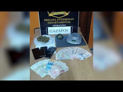 Brigada Departamental Antidrogas de Paysandú allanó tres bocas de venta de drogas