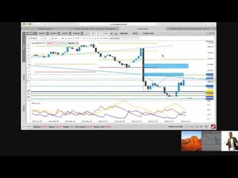 Forex Video Vol 1.