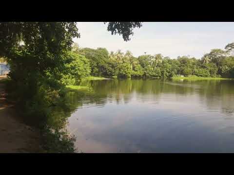 Rasel mamar shoshur bari