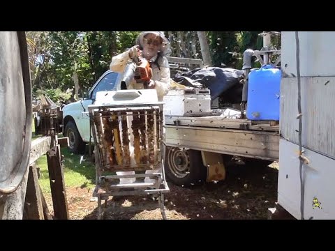 Episode 10. Removing Bees out of Honey Supers - THE EASY WAY  #SeriousHobbyistBeekeeper