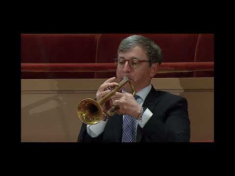 Mahler, Symphony #1 4th mvt (excerpt) Fabio Luisi DSO/MET ORCH