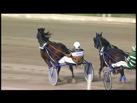 Napoli Trotto 03/10/2021 - 6ª corsa