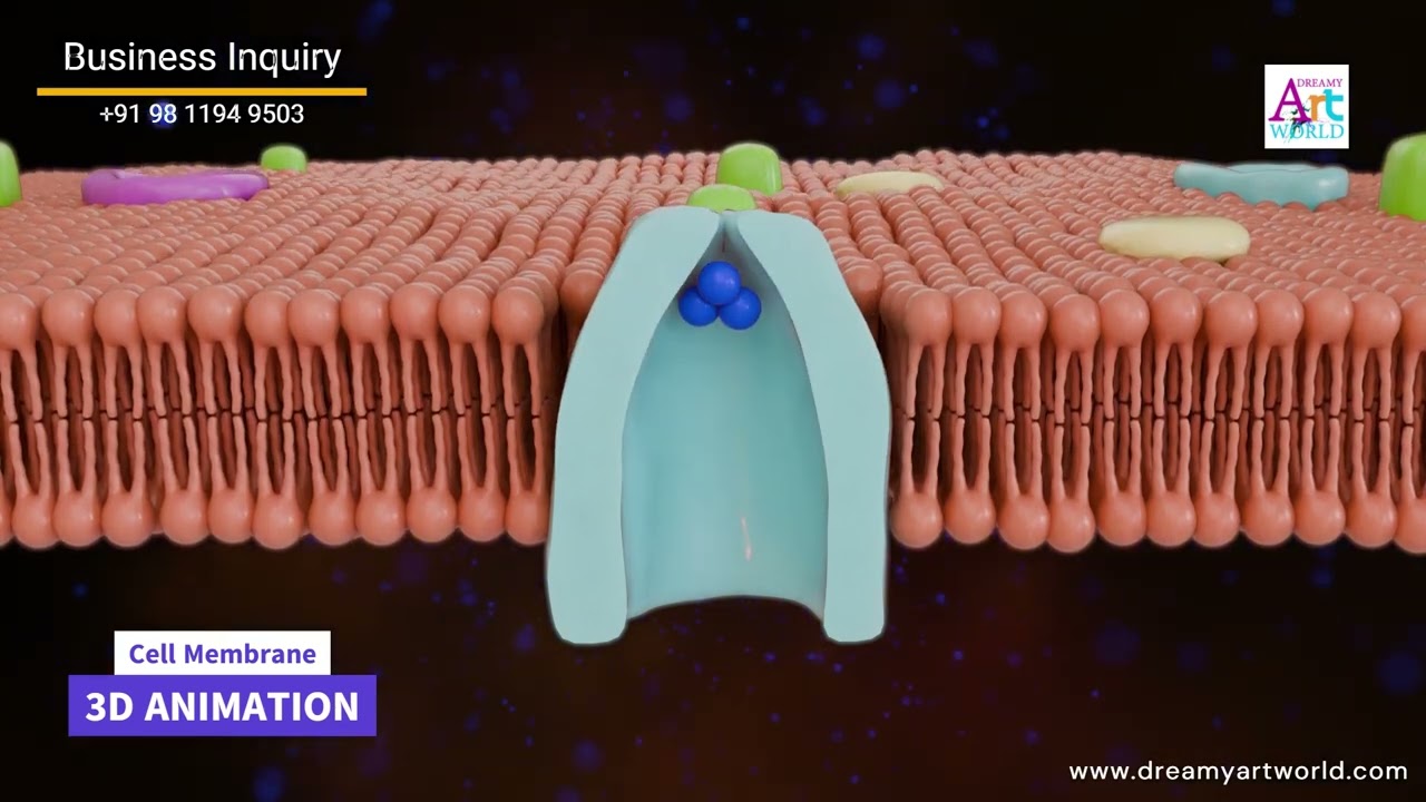 Cell Membrane – in 3D! #medical #elearning #animation